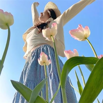 探案拍档第四季