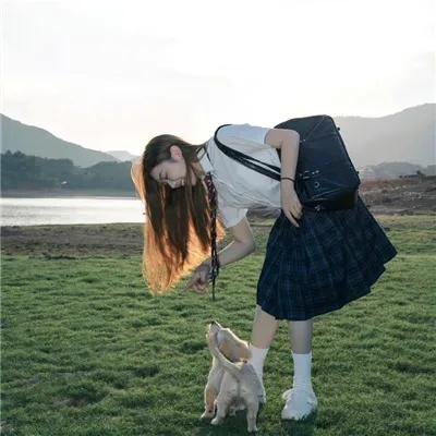 哈莉·奎茵第五季